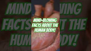 Mind-Blowing Facts About the Human Body! #HumanBodyFacts #AmazingFacts #ScienceExplained #Health