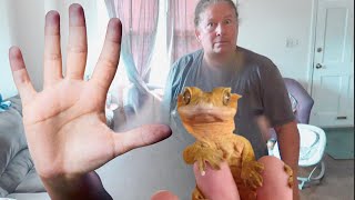 Grandma Is SCARED Of Geckos!  - 100 Days Of Vlogging (Day 17)