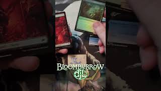 Bloomburrow Play Booster Pack #9 - TefmrToast  Scores a Canadian Colossal Dreadmaw, Patch and more!