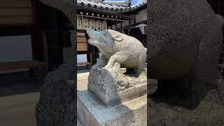 Zenkyo-an the Boar Temple in Kyoto  - #Shorts! 🐖