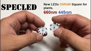 Новые LED Osram Square 660нм и 450нм. Светодиоды для растений