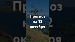 Прогноз на 12 октября - Фэншуим с Верой - Фэн-шуй - астрология