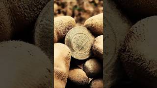 ДЕД показал МЕСТО с монетами! Находка за находкой! #metaldetecting #копмонет #коп #копновое #находки