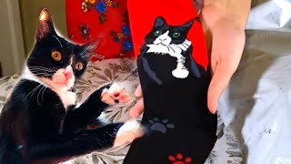 Cat Lover Accessories and Cat Socks SHEIN haul!