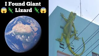 I Found Giant 😱🦎 Lizard 😱🦎 On Google Earth & Map