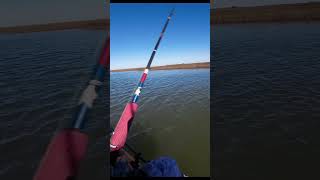 Double trouble: Redfish hits lure twice in one cast #kayakfishing #customlures  #redfish