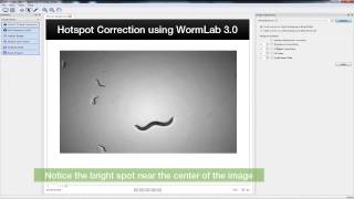 WormLab 3.: How to use Hotspot Correction