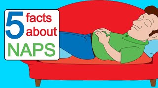 Benefits of Napping (Why Naps are Good for You) 🛌 Boost Your Heart & Brain Health