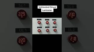 Voltmetreli Sinyal Lambası