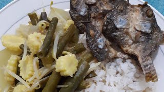 SAYUR ASAM KENTI KACANG PANJANG TAUGE & JAGUNG MUDA #shorts #viral