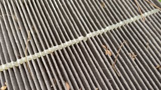 Changing the cabin #airfilter in the '04 #Nissan #Maxima J31. How bad was it?