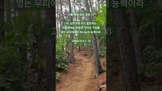 🌿멸망하는 자들에게는 미련한 것이요🌿/고전 1: 18/나를 세운 암송 말씀 53/맨발 걷기 좋은 날 215/앞산 맨발산행루틴