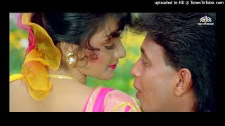 Hum_Teri_Mohabbat_Main___Jhankar___Phool_Aur_Angaar_1993___Mithun___Shantipriya___Kumar_Sanu(128k)