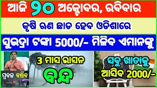 Today's breaking news odisha || Odia News | 20 October 2024 | CM Kisan |subhadra yojana online aply