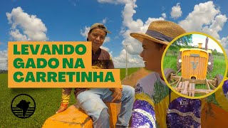 QUANTO CUSTA ARRENDAR TERRA?