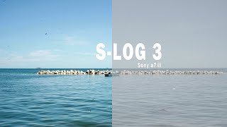 S - Log 3 Sony a7iii | Hanya Experimen