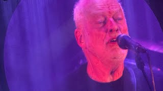 “Comfortably Numb” David Gilmour Live at The Hollywood Bowl on 10/29/24