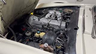 Mercedes 230SL Cold Start