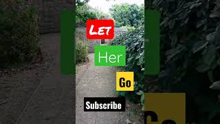 Let Her go 💖💯💞 Subscribe to Gratitude Radio ☺️🔘☺️