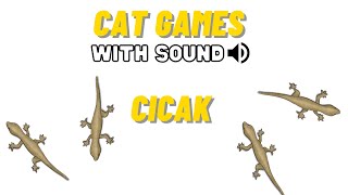 CAT GAMES - CICAK MERAYAP DI DINDING DENGAN SUARA RELAXING SLEEP, FULL 30 MENIT