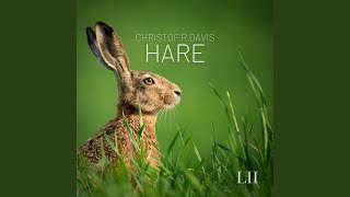 Hare