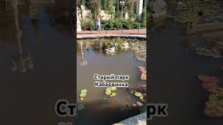 Кабардинка #отпуск #кабардинка #старыйпарк