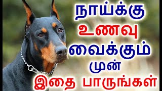 நாய்க்கு உணவு வைக்கும் முன் இதை பாருங்கள் | food to dog |#nammabhoominammasamy