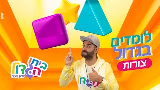 לומדים בגדול עם ביחו הגדול - סוגי צורות