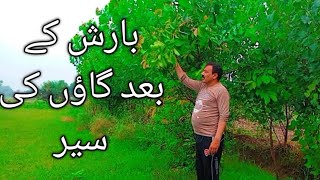 Beauty of Nature 118 SB || by Muhammad Nawaz