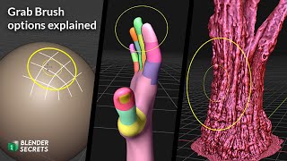 Blender Grab Brush - Options Explained