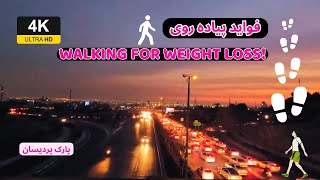 Nighttime Weight Loss Walks: Discovering Tehran's Parke Pardisan - فواید پیاده روی - پارک پردیسان