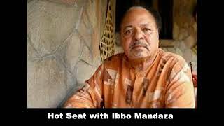 Hot Seat: Mandaza says Mugabe is G40 & reshuffle paves way for succession plan