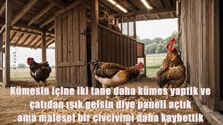 Kümesin içine iki tane daha kümes yaptik ve çatıdan ışık gelsin diye paneli açtık ama malesef bir