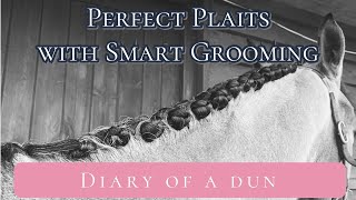 Perfect Plaits With Smart Grooming ~ Diary Of A Dun