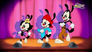 Animaniacs (2020) - Intro (Arabic, Fanmade)