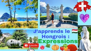 🇭🇺 Magyarul tanulok - Apprendre le Hongrois : des expressions avec des légumes