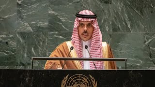 🇸🇦 Саудовская Аравия, общие прения, 79-я сессия