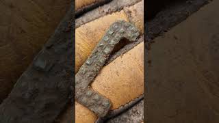 Buckle Fragment! Metal Detecting Wales