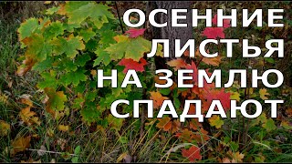 Осенние листья на землю спадают. Лучшие христианские песни.