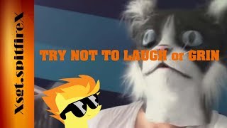 Blind Reaction/Commentary TRY NOT TO LAUGH or GRIN ★6 (Extremely Hard)