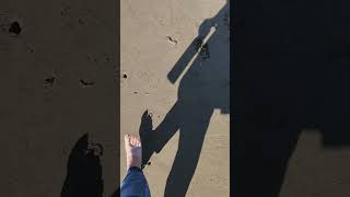 A Walk With My Sisters-Nehalem Bay State Park Sept 2023