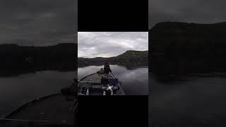 Giant smallmouth in a small Vermont pond.