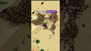 Tibia Time Boosted Series: Terramite #tibia #gaming #shorts