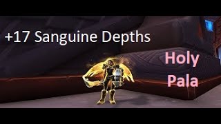 Holy Paladin | +17 Sanguine Depths Mythic + Dungeon Wow 9.1.5