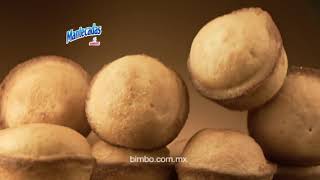 Comercial Mantecadas Bimbo