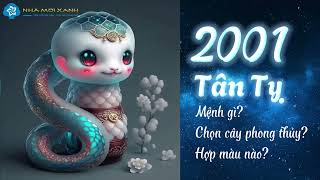 Người sinh năm 2001 (Tuổi Tân Tỵ) hợp cây gì - màu gì? - Phong thủy tuối Tân Tỵ | Nhà Mới Xanh