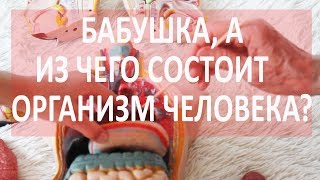 Анатомия человека. Бабушка рассказывает о внутренних органах человека.