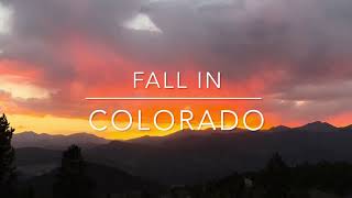 Visit Colorado! Fall Colors | Owls, Moose, Black Bears | Travel and Cruise Tips