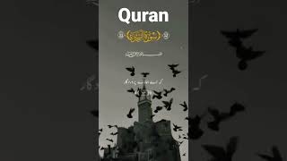 💕Quran Translation💕||Islamic WhatsApp Status ||🍃Quran Tarjuma🤗 #qurantranslation #quraninurdu #quran