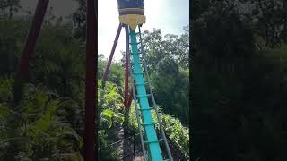 Wait for it… #shorts #kumba #buschgardenstampa #rollercoaster #florida